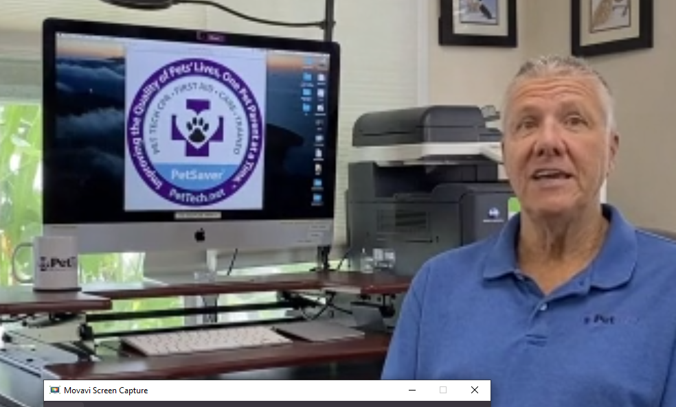 Pet Dental Health Month